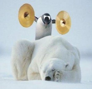 pengy
